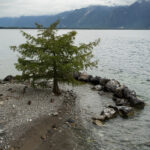 Lac Léman in Montreux, August 2020