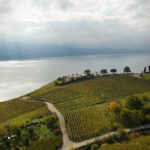 Lavaux vineyards, October 2020