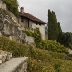 Lavaux vineyards, October 2020