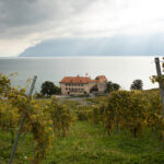 Lavaux vineyards, October 2020