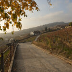 Lavaux vineyards, November 2020