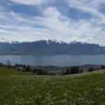 Lac Léman from Les Pléiades – Spring 2021