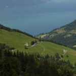 On a way to Rochers de Naye, La Perche, June 2021_2