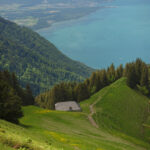 On a way to Rochers de Naye, La Perche, June 2021_2