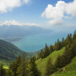 Lac Leman, from La Perche, June 2021_3