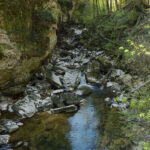 Gorges de l’Areuse, April 2021