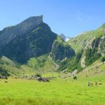 From Seealpsee towards Santis, July 2016