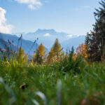 View from Les Avants towards Les Dents du Midi, November 2022