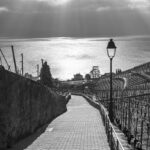 Lavaux, February 2021