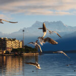 Montreux, January 2023