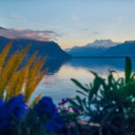 Lac Léman from Montreux, January 2023