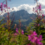 View towards Glacier des Diablerets from mountains above Villars-sur-Ollon, August 2023