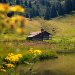 In the mountains above Villars-sur-Ollon, August 2023