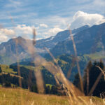 View towards Glacier des Diablerets from mountains above Villars-sur-Ollon, August 2023