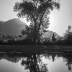 Les Grangettes, nature reserve, Villeneuve, September 2023