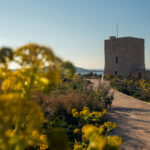 Madliena tower, near Pembroke, March 2024