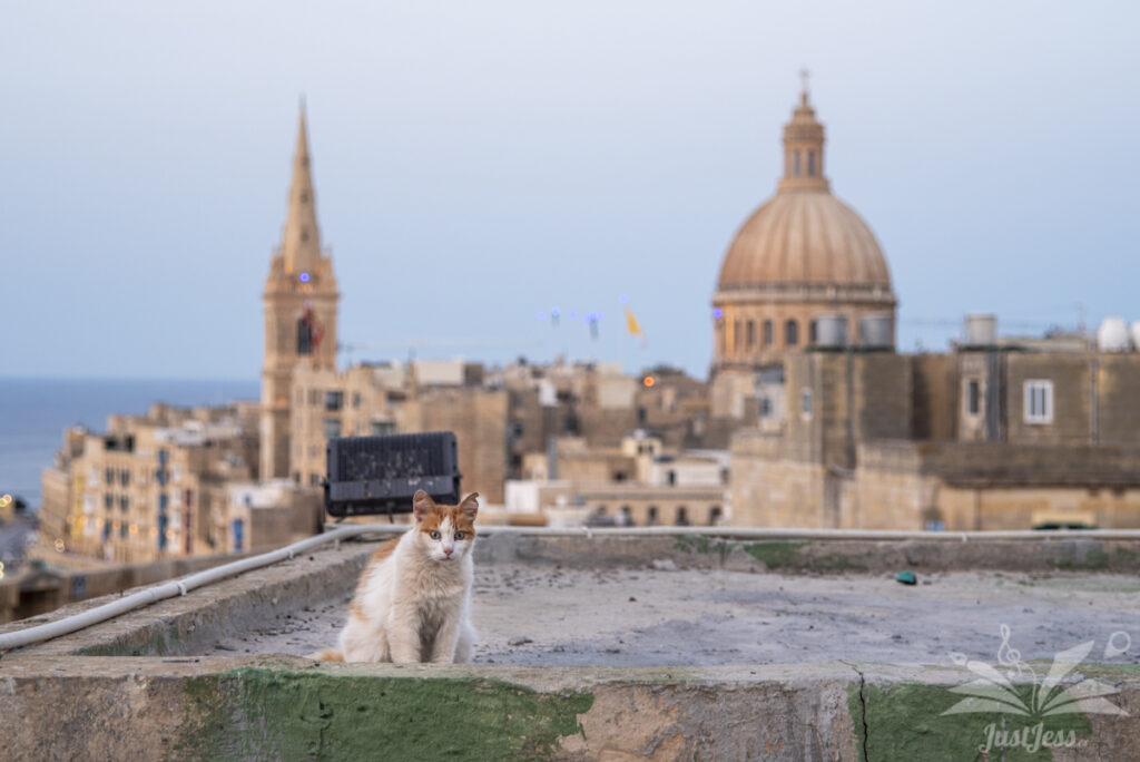 Valletta, June 2024. Nikon D750 + Helios 44-2 58mm f/2