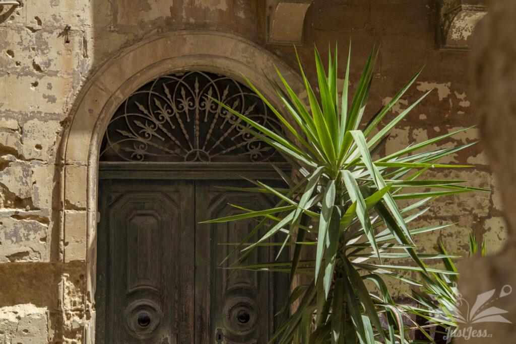 Birgu (The Three cities), June 2024. Nikon D750 + Helios 44-2 58mm f/2