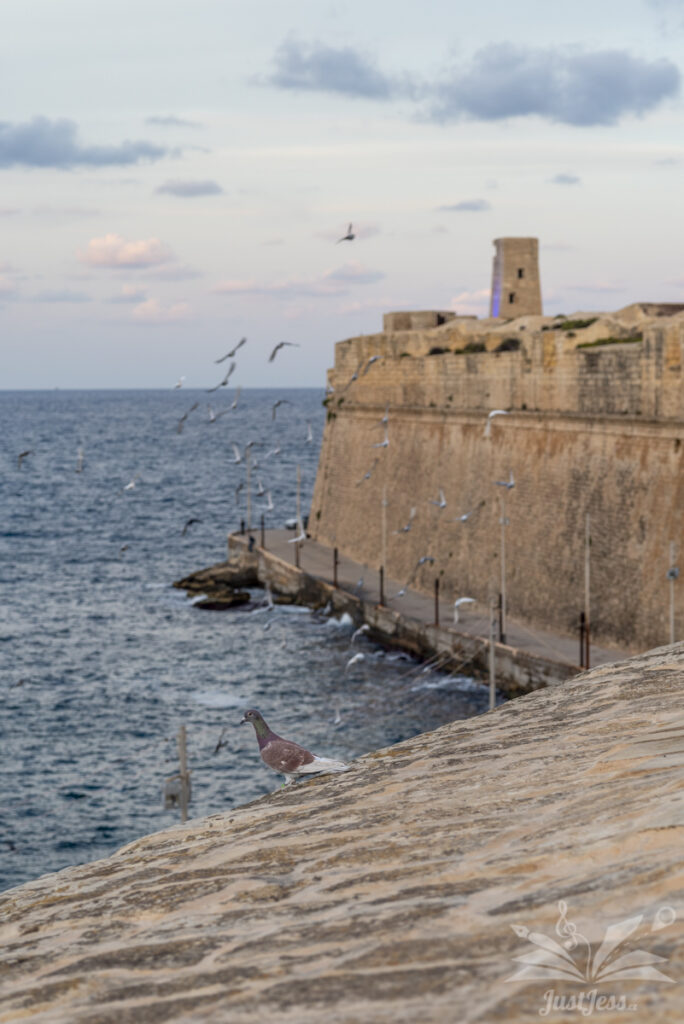 Valletta, Malta, November 2024. Nikon D750 + Helios 44-2 58mm f/2