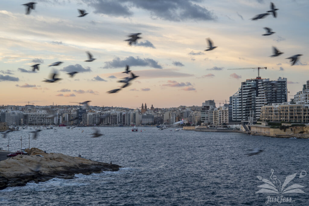 Valletta, Malta, November 2024. Nikon D750 + Helios 44-2 58mm f/2